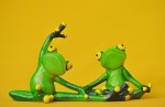 frogs-1250167__180